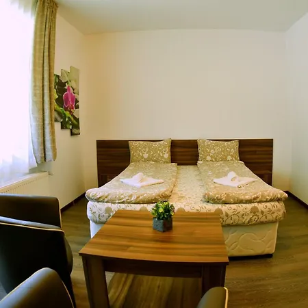 рибарникъ 酒店 2*