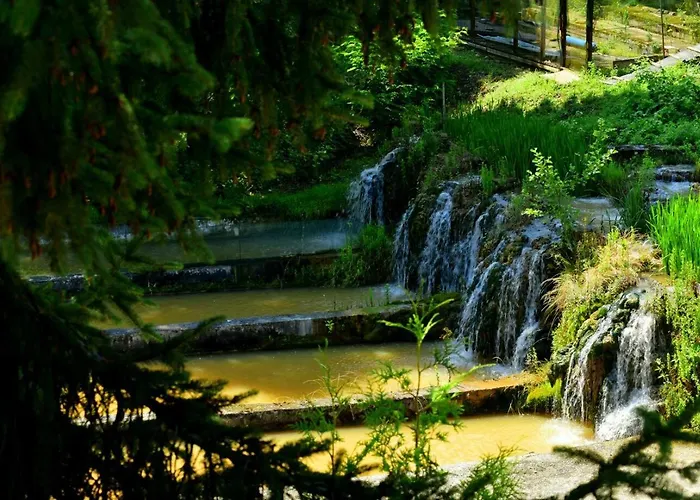 מלון рибарникъ